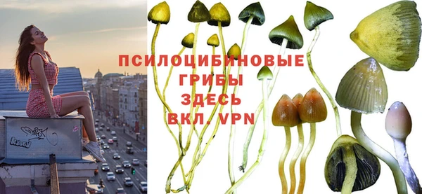 амфетамин Рославль