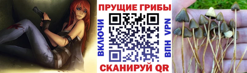 Псилоцибиновые грибы Magic Shrooms Снежногорск